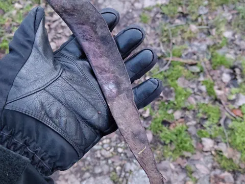 Gewöhnliche Gleditschie
